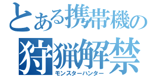 とある携帯機の狩猟解禁（モンスターハンター）