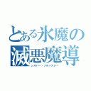 とある氷魔の滅悪魔導士（シルバー・フルバスター）