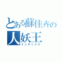 とある蘇佳卉の人妖王（インデックス）