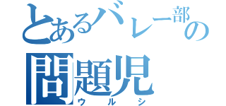 とあるバレー部の問題児（ウルシ）