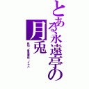 とある永遠亭の月兎（鈴仙・優曇華院・イナバ）