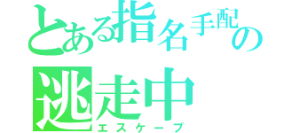 とある指名手配の逃走中（エスケープ）