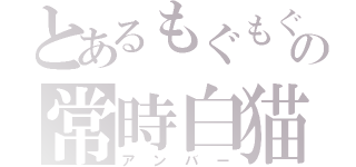 とあるもぐもぐの常時白猫（アンバー）