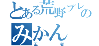 とある荒野プレイヤーのみかん（王者）