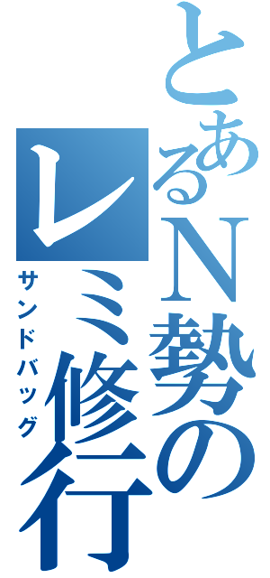 とあるＮ勢のレミ修行（サンドバッグ）