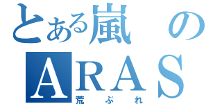 とある嵐のＡＲＡＳＨＩ（荒ぶれ）