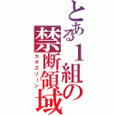 とある１組の禁断領域（カオスゾーン）