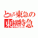 とある東急の東横特急（横浜まで２５分）