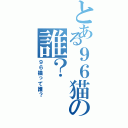 とある９６猫の誰？（９６猫って誰？）