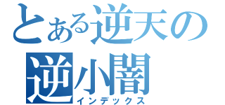 とある逆天の逆小闇（インデックス）