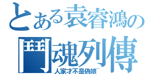 とある袁睿鴻の鬥魂列傳（人家才不是偽娘~）