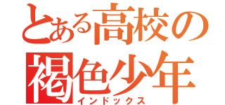 とある高校の褐色少年（インドックス）
