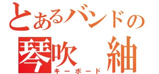 とあるバンドの琴吹 紬（キーボード）