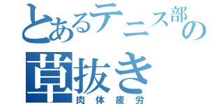 とあるテニス部の草抜き（肉体疲労）