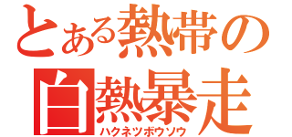 とある熱帯の白熱暴走（ハクネツボウソウ）