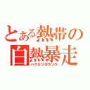 とある熱帯の白熱暴走（ハクネツボウソウ）