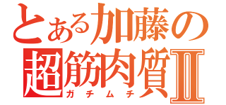 とある加藤の超筋肉質Ⅱ（ガチムチ）