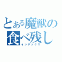 とある魔獣の食べ残し（インデックス）