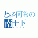 とある何物の南十下（ナントカ）