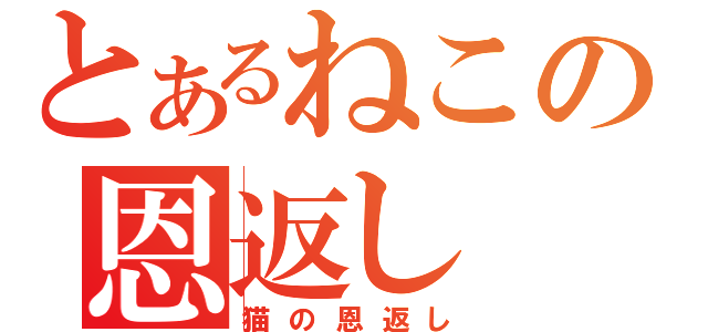 とあるねこの恩返し（猫の恩返し）