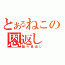 とあるねこの恩返し（猫の恩返し）