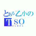 とある乙小のＴＳＯ（としおさん）