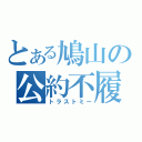 とある鳩山の公約不履行（トラストミー）