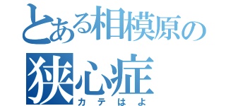 とある相模原の狭心症（カテはよ）