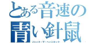 とある音速の青い針鼠（ソニック・ザ・ヘッジホック）