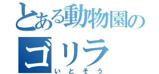 とある動物園のゴリラ（いとそう）