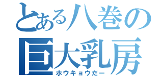 とある八巻の巨大乳房（ホウキョウだー）