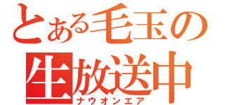 とある毛玉の生放送中（ナウオンエア）