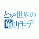 とある世界の亀山モデル（テレビジョン）