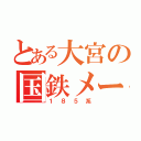 とある大宮の国鉄メーク（１８５系）