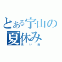 とある宇山の夏休み（思い出）