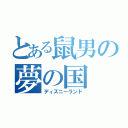 とある鼠男の夢の国（ディズニーランド）