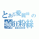 とある愛麗絲 の瘋狂粉絲（ 靈魂互通有無）