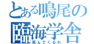 とある鳴尾の臨海学舎（死んでくるわ）