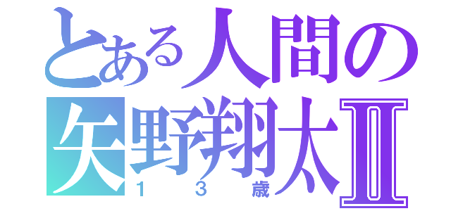 とある人間の矢野翔太Ⅱ（１３歳）