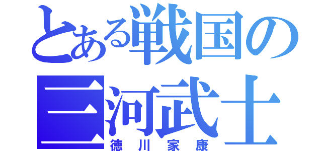 とある戦国の三河武士（徳川家康）