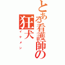 とある看護師の狂犬Ⅱ（イケメン）