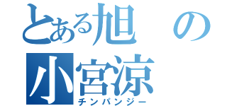 とある旭の小宮涼（チンパンジー）