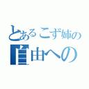 とあるこず姉の自由への脱出（）