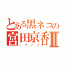 とある黒ネコの宮田京香Ⅱ（ニャンコ）