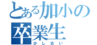 とある加小の卒業生（少し古い）