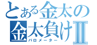 とある金太の金太負けるなⅡ（バロメーター）