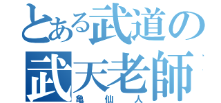 とある武道の武天老師（亀仙人）