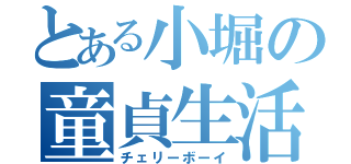 とある小堀の童貞生活（チェリーボーイ）