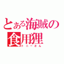 とある海賊の食用狸（トニーさん）