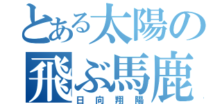 とある太陽の飛ぶ馬鹿（日向翔陽）